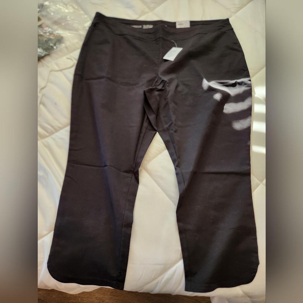 Womens dress pant